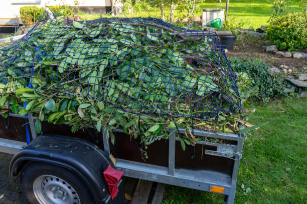 Best Shed Removal  in Riverview Rk, PA